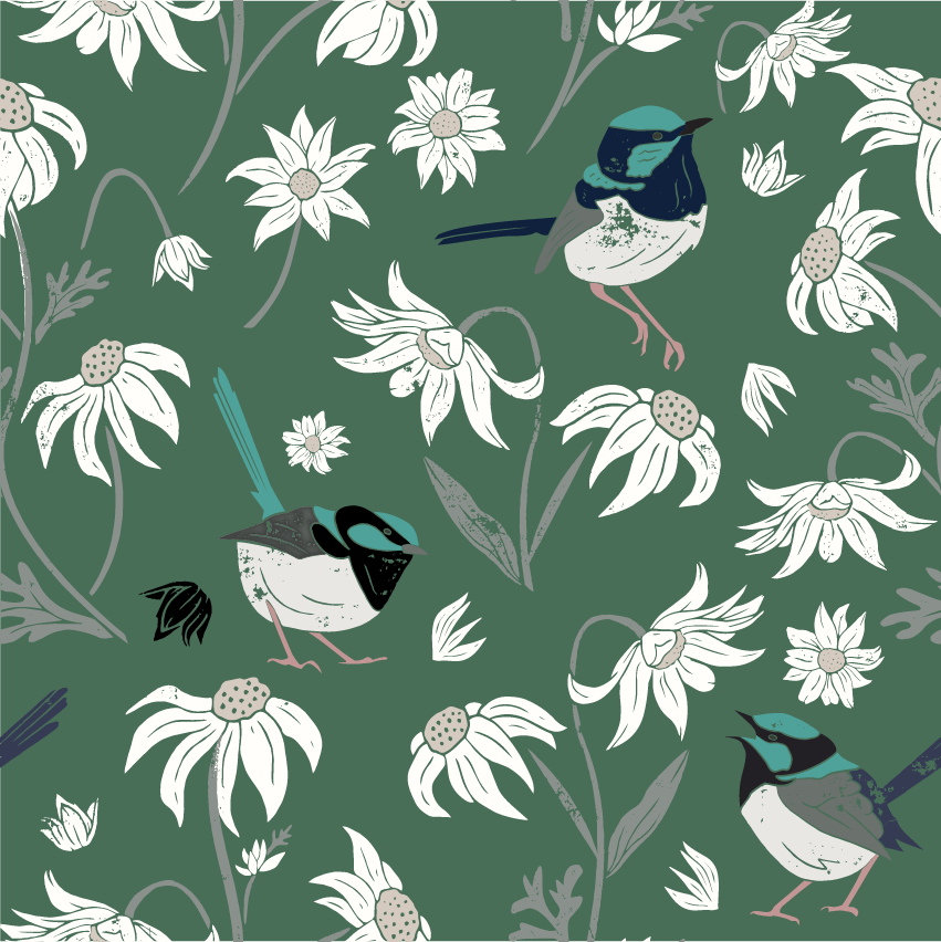 Print Superb Fairy-wren and Flannel Flowers A4 - Eggpicnic