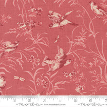 Load image into Gallery viewer, Antoinette - Aviary De Trianon - Faded Red