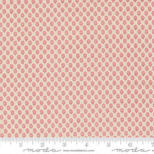 Load image into Gallery viewer, Antoinette - Adelaide Blenders - Pearl Faded Red