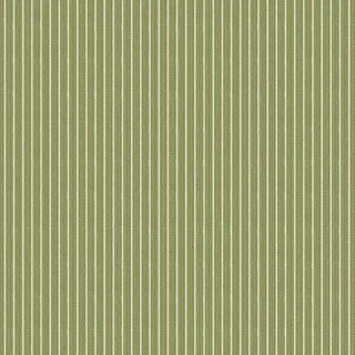 Creating Memories - Stripe Green