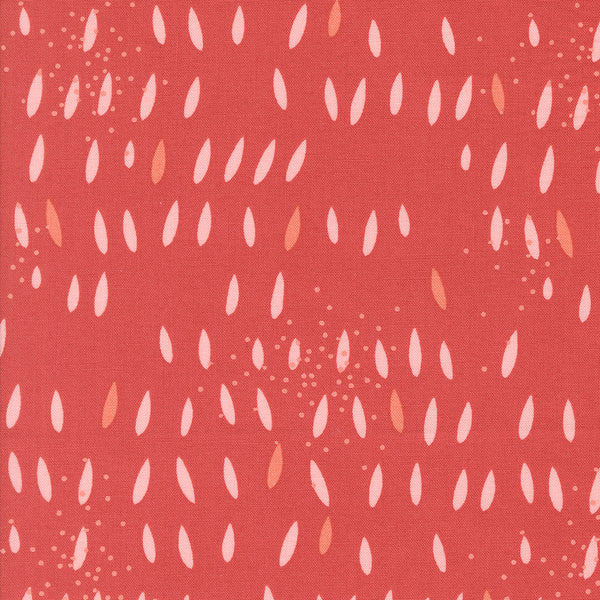 Simply Cozy - Seeds Persimmon