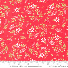Load image into Gallery viewer, Favourite Things - Amaryllis Florals Berry