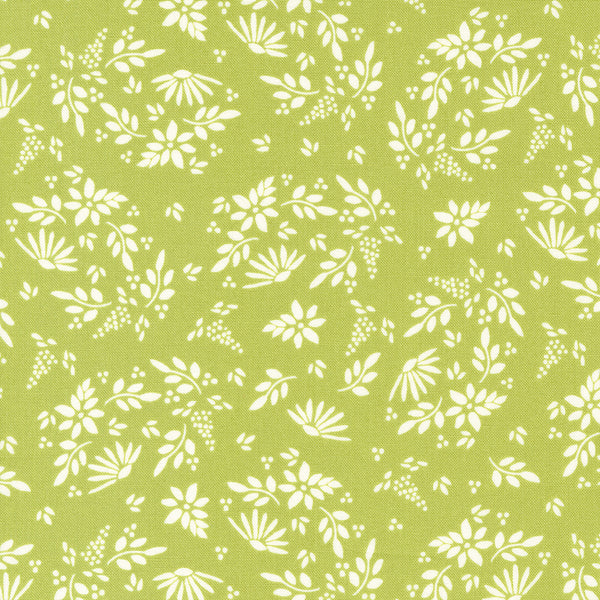 Favourite Things - Amaryllis Florals Chartreuse