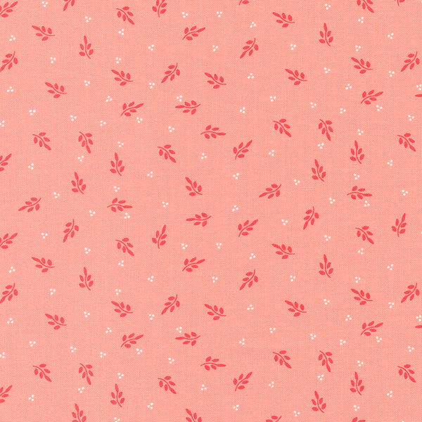 Favourite Things - Holly Blenders Blush