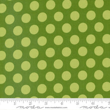 Load image into Gallery viewer, Favourite Things - Dots Evergreen