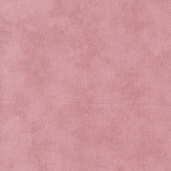 Lavender Fields - Blender Orchid