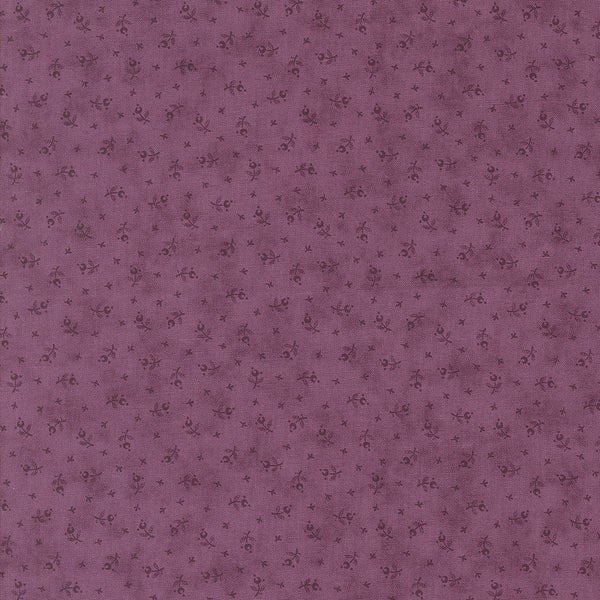 Lavender Fields - Tiny Buds - Pansy