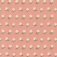Load image into Gallery viewer, Imaginary Flowers - Wispy Flowers - Blossom