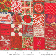 Load image into Gallery viewer, Curated in Color - Patchwork Red