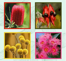 Load image into Gallery viewer, Blue Mountain Wildflowers - Panel