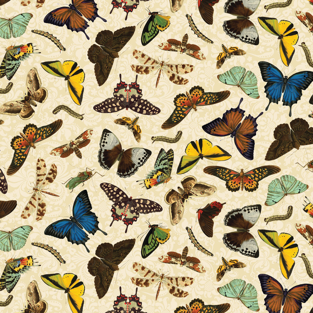 Butterfly Bouquets - Butterflies on Cream