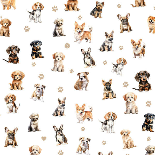 Coops Farm - Puppies