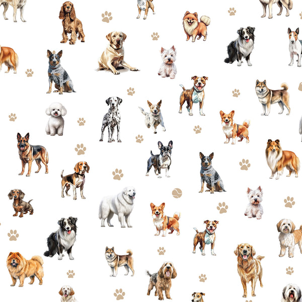 Coops Farm - Farm Dogs