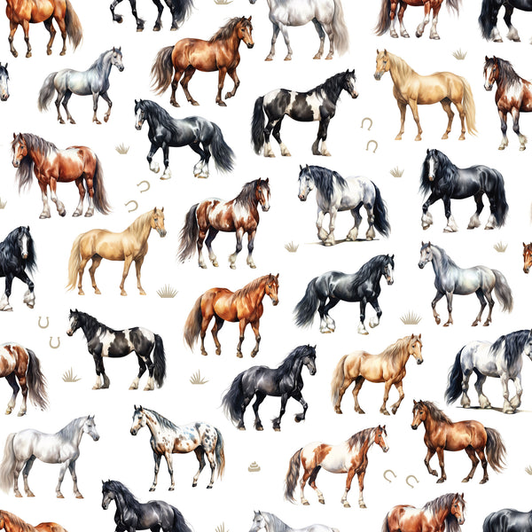 Coops Farm - Horses