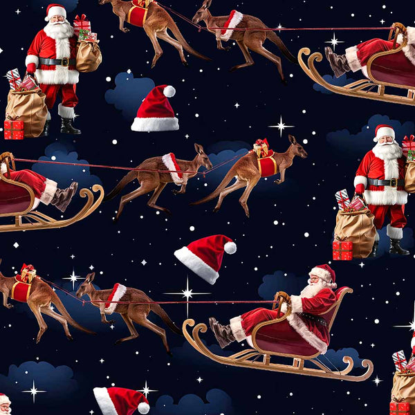 Santa in Oz - Flying Night