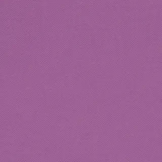 Devonstone Solid - Orchid