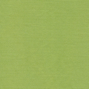 Devonstone Solid - Light Green