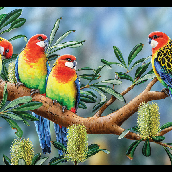 Wildlife Art - Eastern Rosellas - DV3701