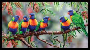 Wildlife Art - Rainbow Lorikeets - DV3702