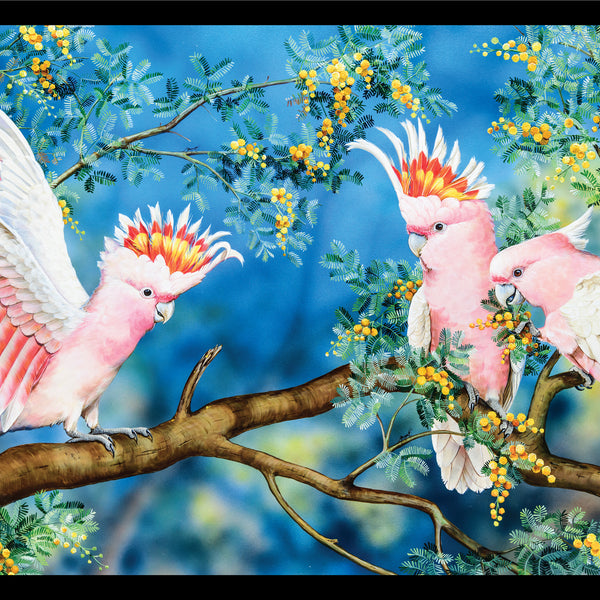 Wildlife Art - Galahs - DV3703
