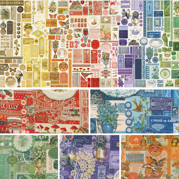 Curated in Color
