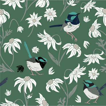 Fairy Wrens & Flannel Flowers