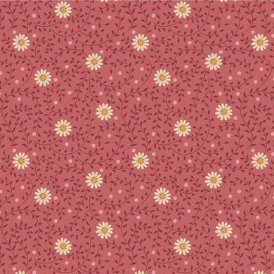 Sanctuary - Daisydream - Rhubarb