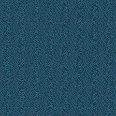 Secret Stash Favourites Blue Willow - Wintergreen Midnight
