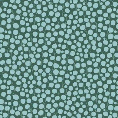 Hibernation - Eucalyptus - Lafayette
