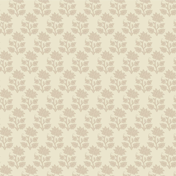 Sanctuary Mira - Cream