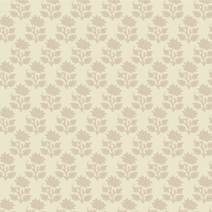 Sanctuary Mira - Cream