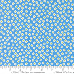 True to Hue - Daisy - Blue