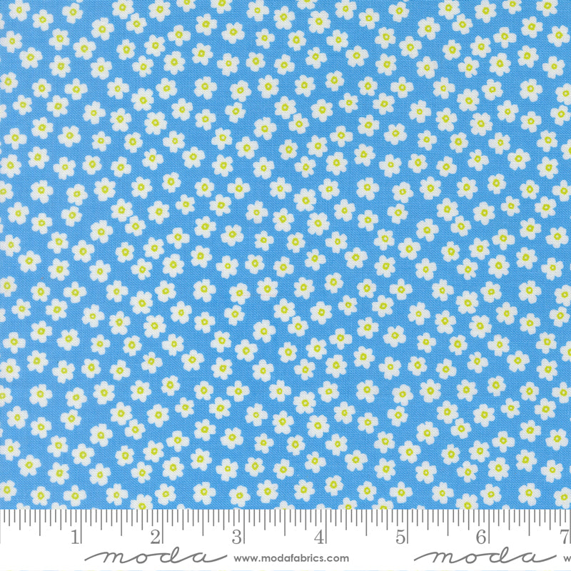 True to Hue - Daisy - Blue