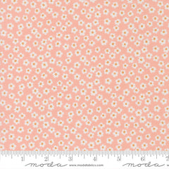 True to Hue - Daisy - Blush