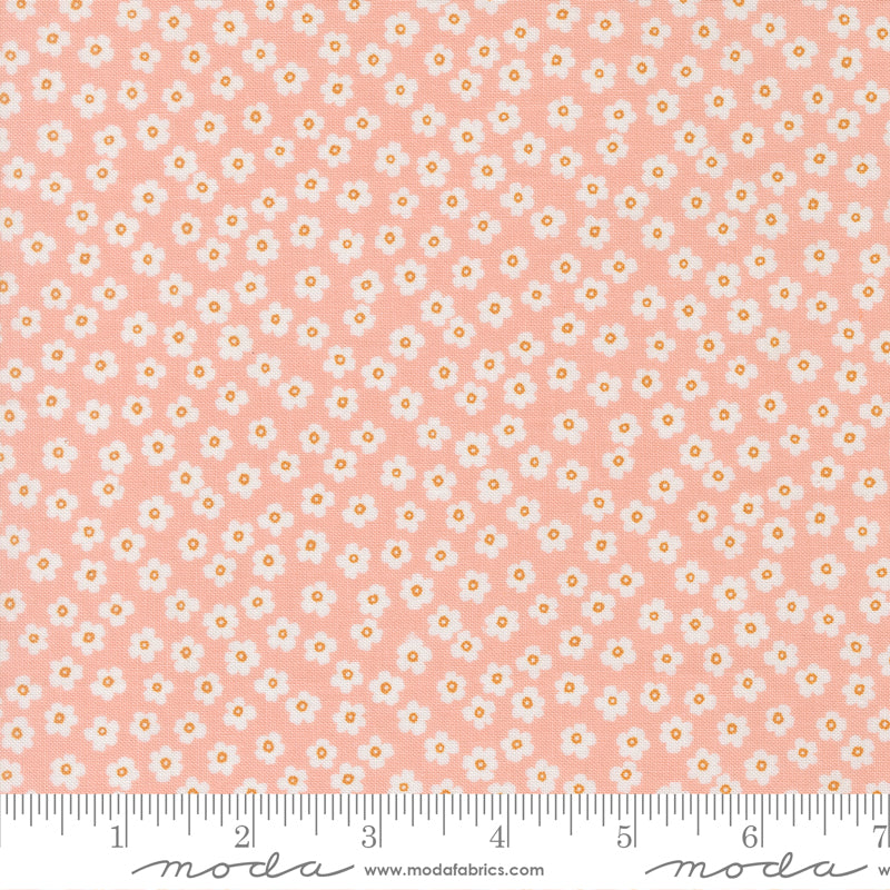 True to Hue - Daisy - Blush