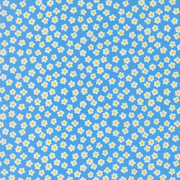 True to Hue - Daisy - Blue