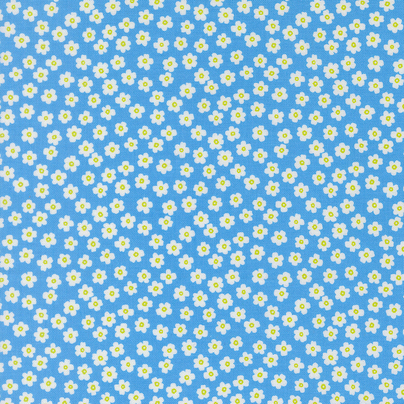 True to Hue - Daisy - Blue
