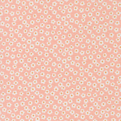 True to Hue - Daisy - Blush