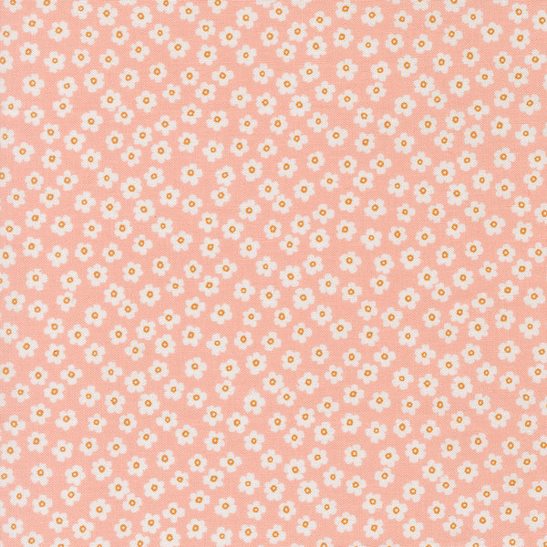 True to Hue - Daisy - Blush