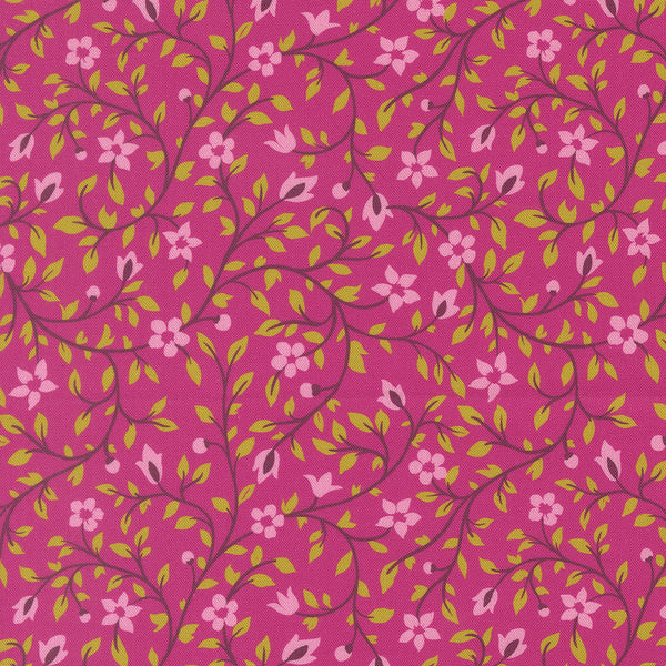 Parlor - Serenity - Passionfruit