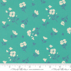 Cannon Beach - Astoria - Turquoise