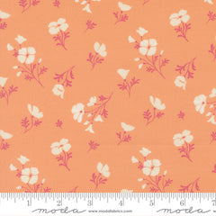 Cannon Beach - Astoria - Peach