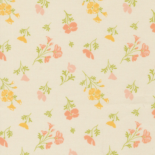 Cannon Beach - Astoria - Cream