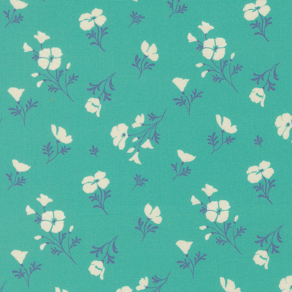 Cannon Beach - Astoria - Turquoise