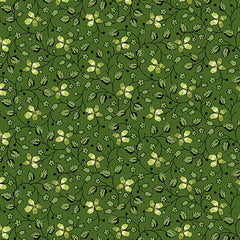 Little Clover - Creeping clover in green