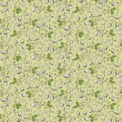 Little Clover - Creeping Clover in Grellow