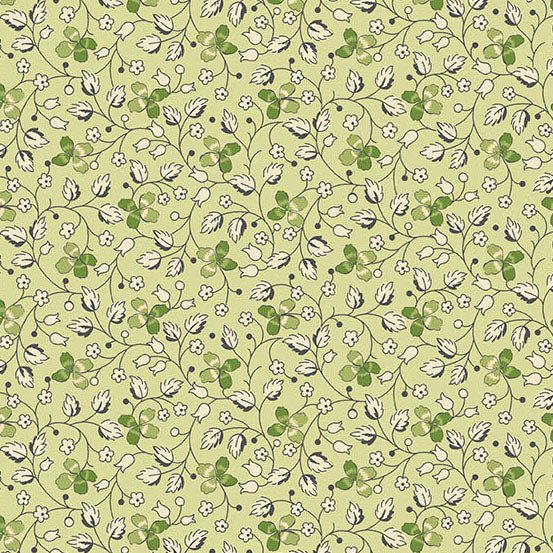 Little Clover - Creeping Clover in Grellow