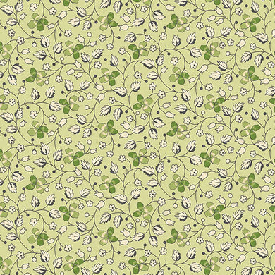 Little Clover - Creeping Clover in Grellow