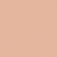 Tilda Basics Poppy Seed - Dusty Peach