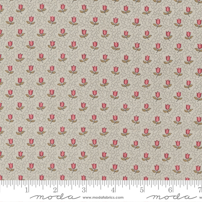 Antoinette - Champagne Floral - Smoke